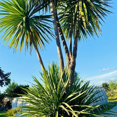 Quinta De Areias *