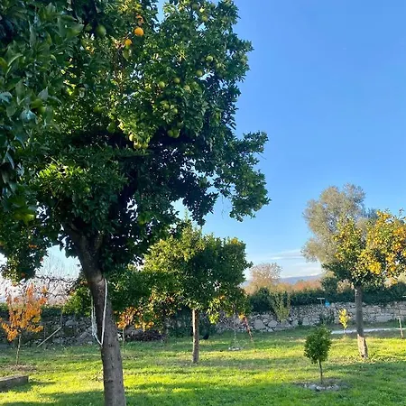 Quinta De Areias Crespos