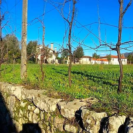 Quinta De Areias Alojamento de Acomodação e Pequeno-almoço Crespos