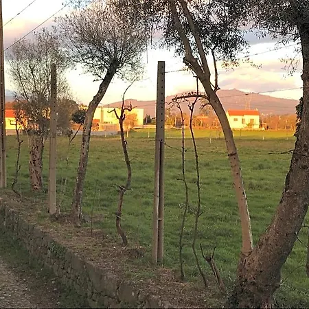 Alojamento de Acomodação e Pequeno-almoço Quinta De Areias *
