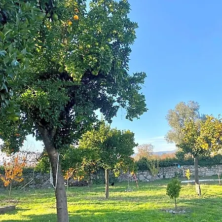 Quinta De Areias * Crespos