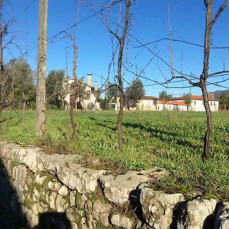 Quinta De Areias Crespos