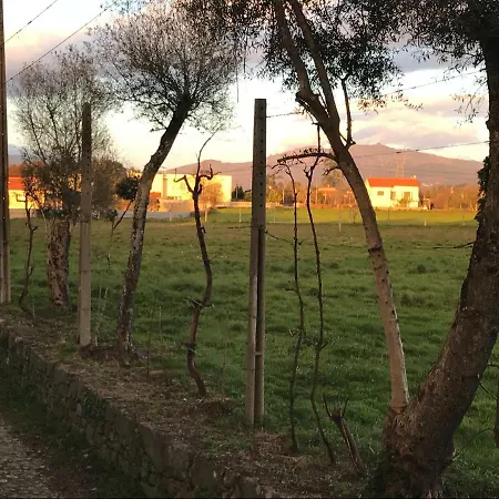 فندق مبيت وإفطار Quinta De Areias *